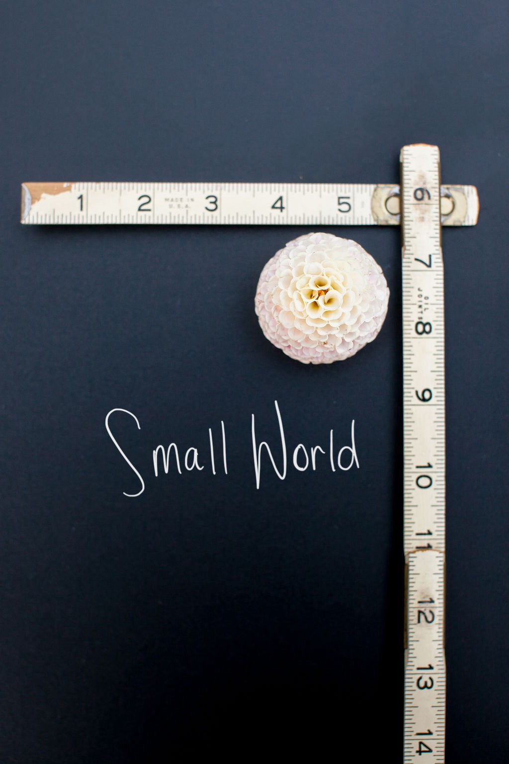 Small World Dahlia